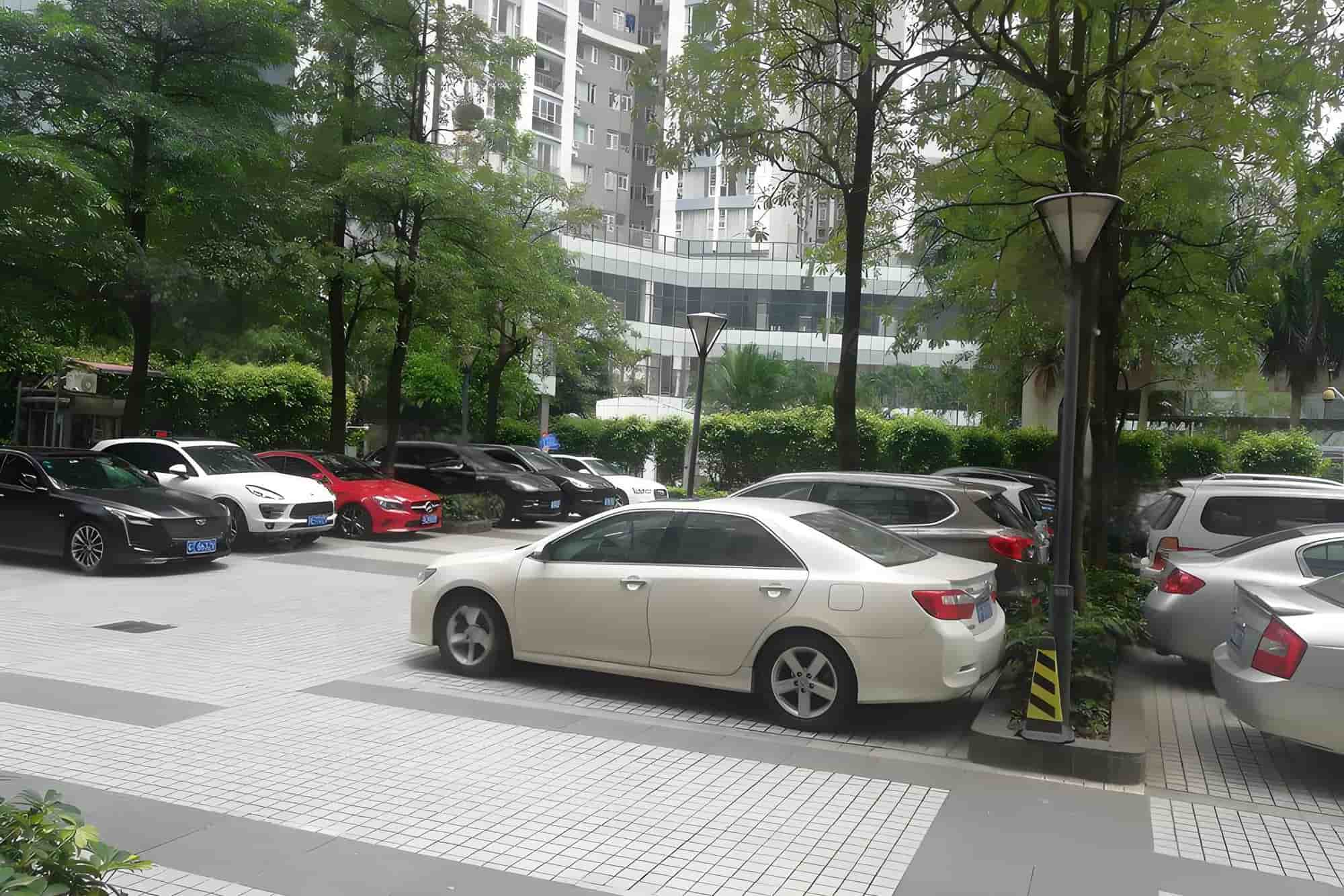 公共区域